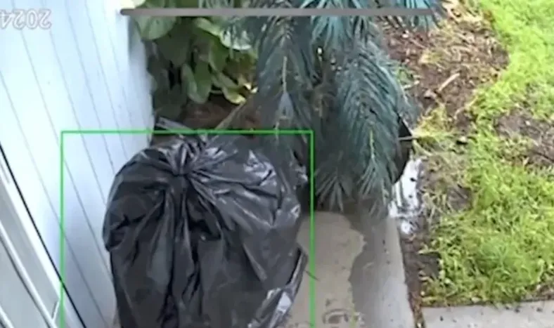 Se disfraza de bolsa de basura para robar paquetes sin que lo vean