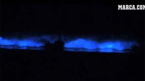Surfean olas fluorescentes