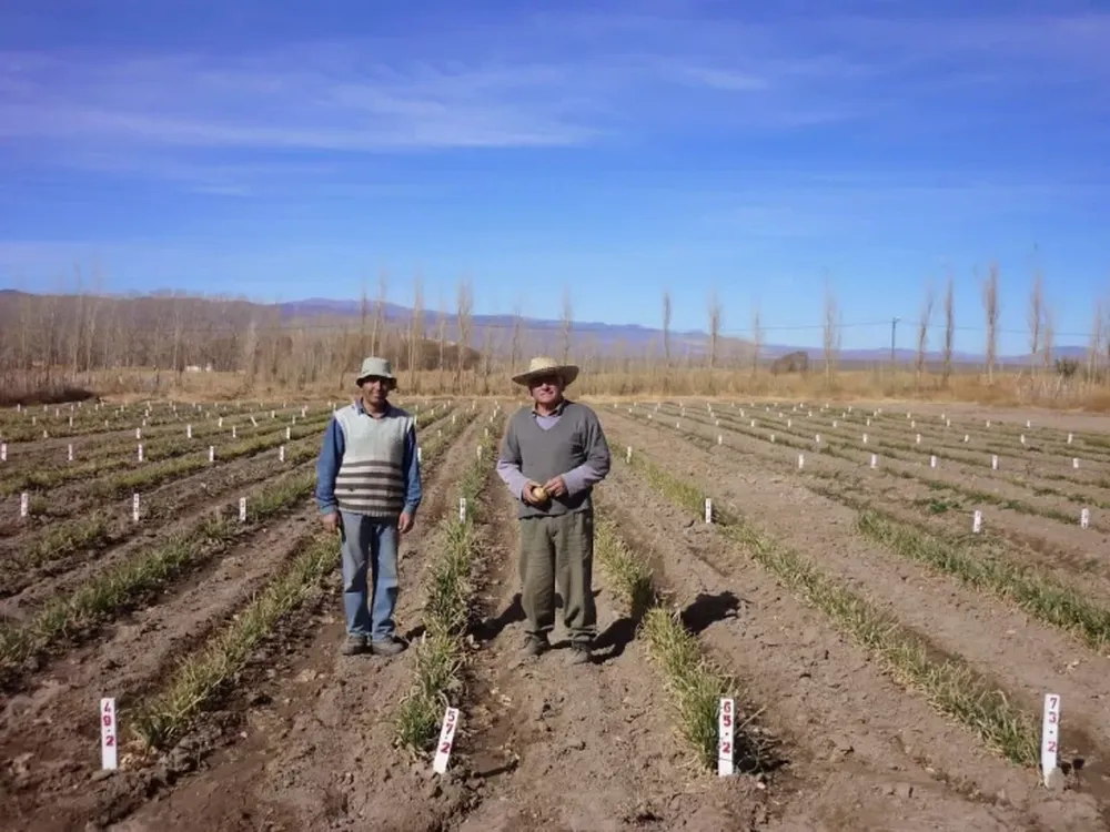 Bodas de Oro en Sarmiento
