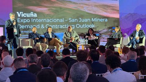 Diario de Cuyo | Leonardo Guevara - Vicuña en Feria SJ  (2)