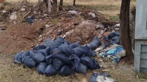 Horror: encontraron dos brazos diseccionados en un descampado e investigan su origen