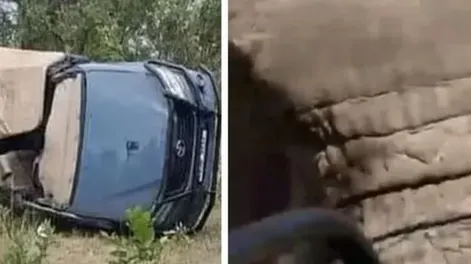 [VIDEO] Una mujer de 80 años murió al ser embestida por un elefante