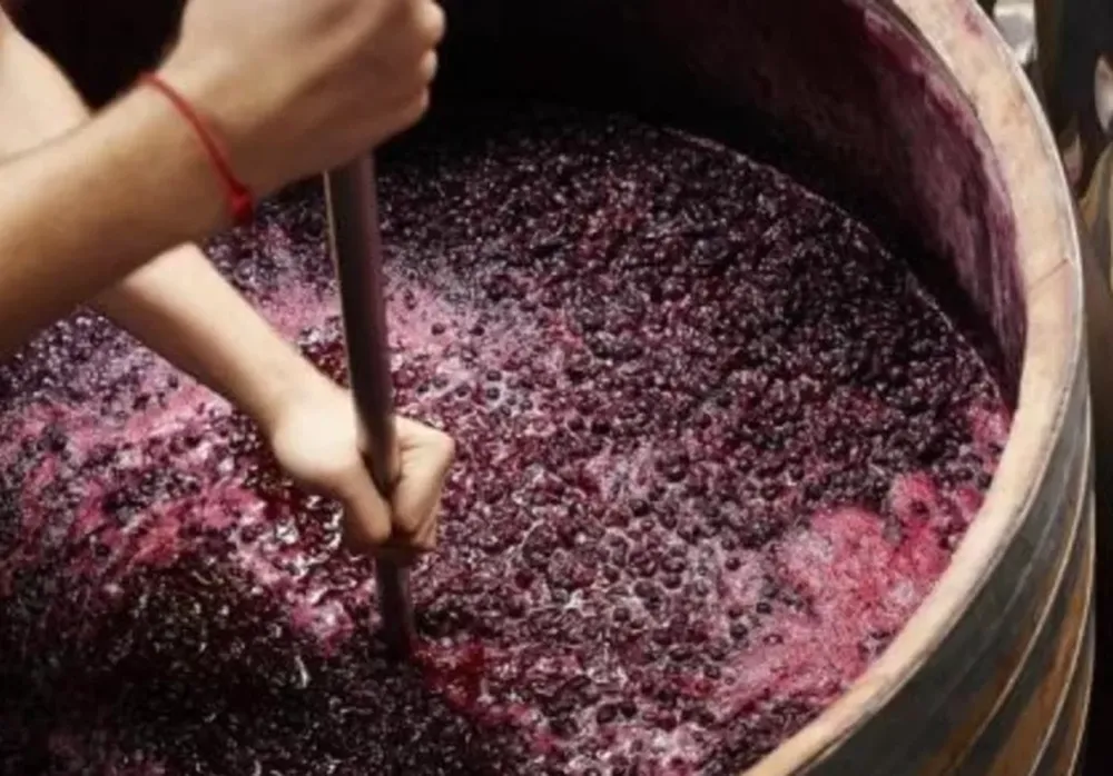 Firmas elaboradoras van a apelar el fallo de EEUU contra el mosto