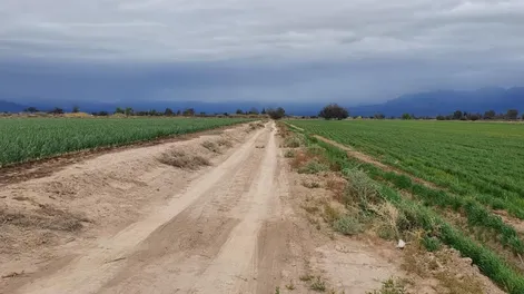 Rotaciones inteligentes