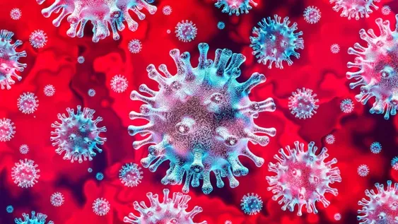 Afirman que el resfrío puede bloquear y ofrecer protección contra el coronavirus