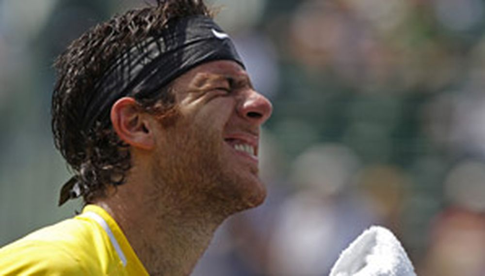 Del Potro no tuvo un buen día y perdió en Miami