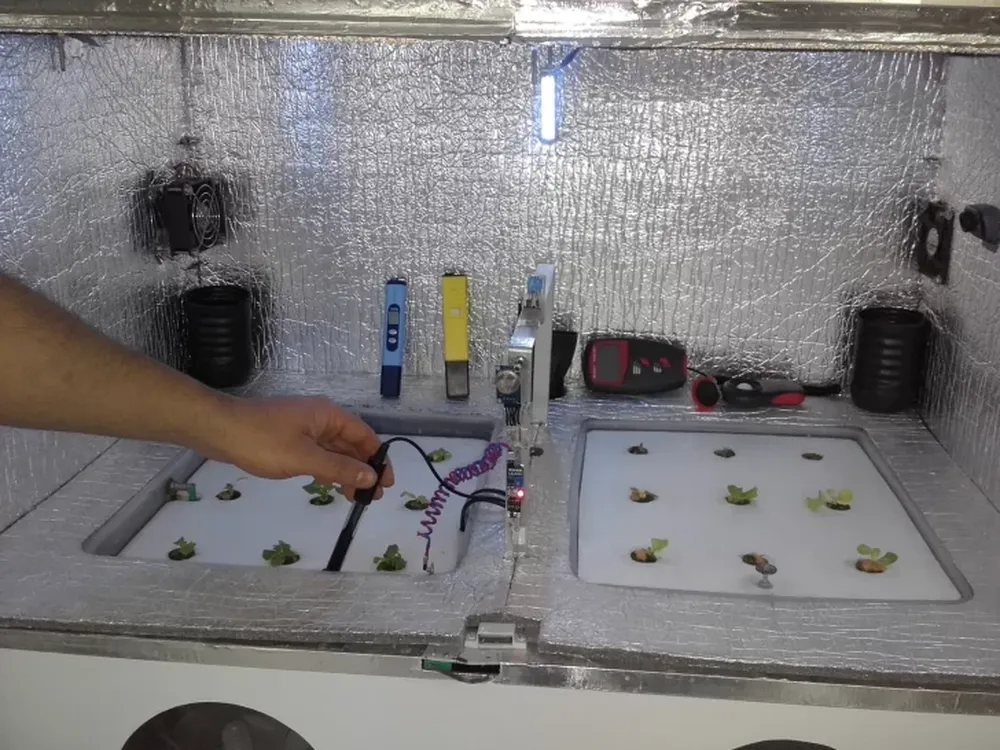 Jóvenes locales cultivan en una computadora de alimentos