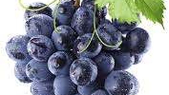 Viñateros creen que podrán negociar por primera vez un precio ventajoso de la uva