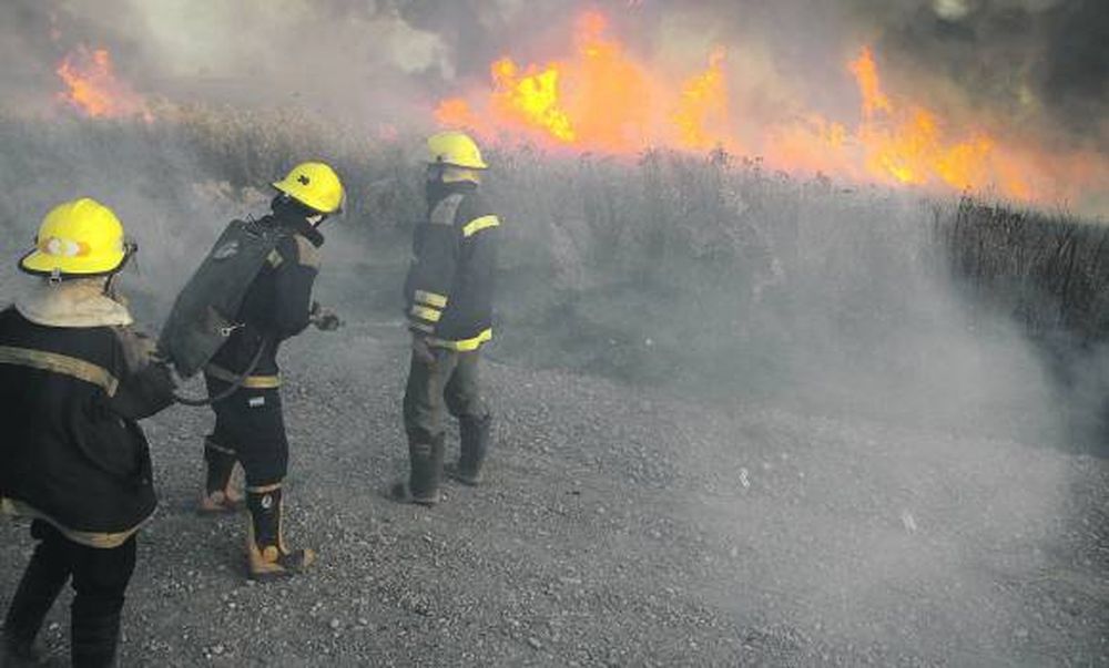 Zonda: hubo incendios  en cinco departamentos