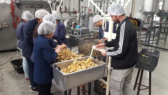 Cursos gratuitos y virtuales