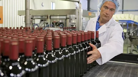 Controles del vino - Imagen ilustrativa