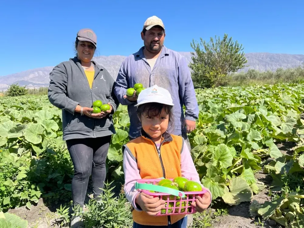 Un cajón de verduras gratis en la vereda, la tradición solidaria de una familia humilde