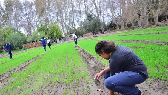 Enología: dan un paso fundamental para que la Escuela y el Instituto se complementen