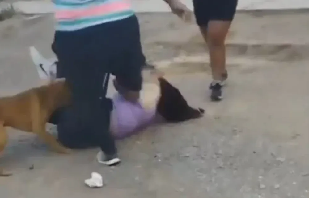Dos mujeres se cruzaron a piñas y patadas mientras los vecinos filmaban la violenta pelea