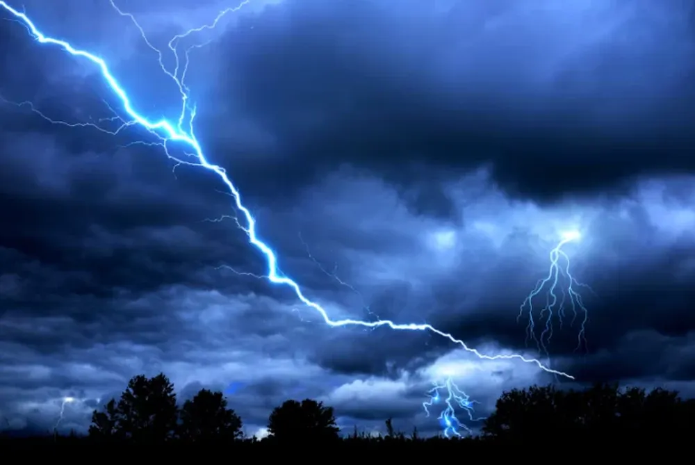 Los 16 aparatos que debés desenchufar durante una tormenta eléctrica para evitar incendios.