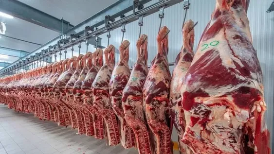 El gobierno ampliará la quita de retenciones a carnes bovinas y avícolas