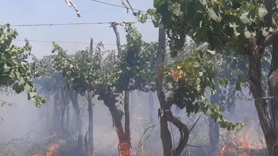 Bomberos debieron combatir un incendio en una finca