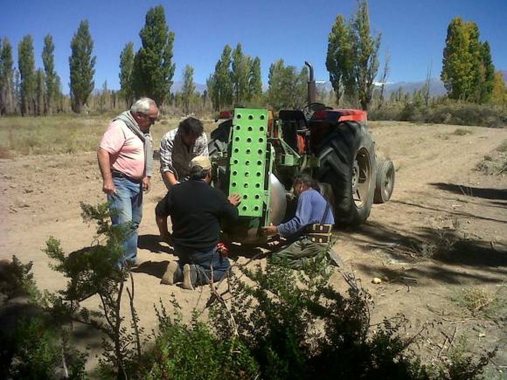 La cooperativa que le vende sus papas a Pascua-Lama