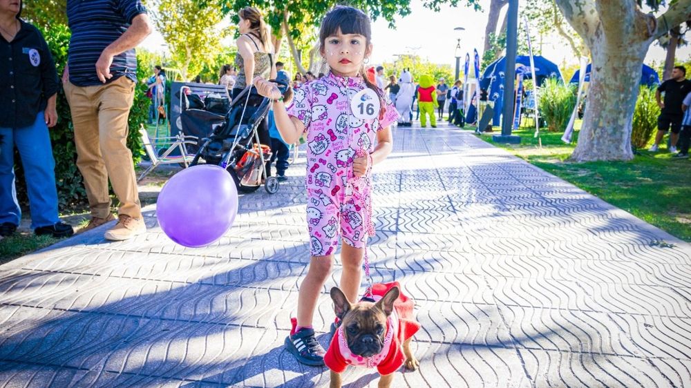 Habrá desfiles de mascotas en Santa Lucía, San Martín y Capital para celebrar el Día del Animal.