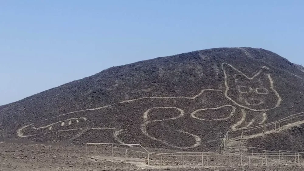 Descubren por casualidad un nuevo geoglifo en las líneas de Nazca: un gato de 37 metros