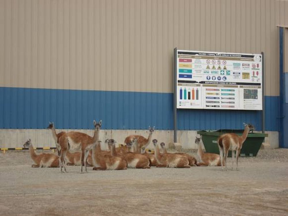 Quieren crear, con una ley, fondos fiduciarios mineros