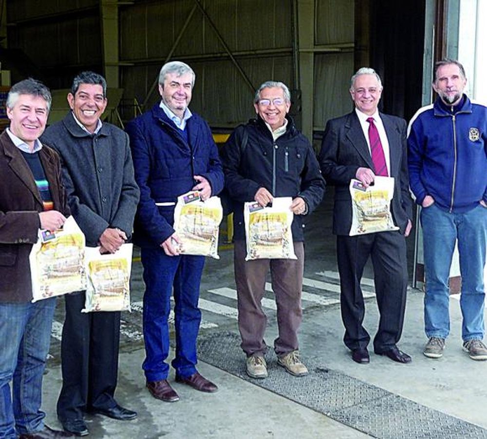 Proyecto de biocombustibles de alcohol ya es agenda nacional