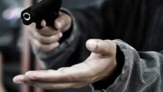 Casi el 60% de los delitos denunciados durante este año fueron robos y hurtos