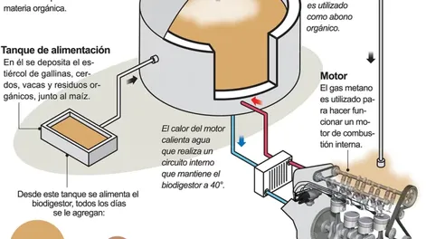 Invertirán 7,2 millones de dólares para generar energía con desechos que producen los animales