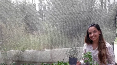 Mantenimiento de la huerta de verano