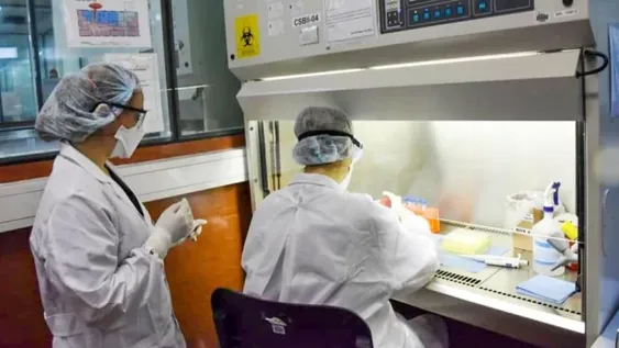 Compran 200 mil reactivos para testeos rápidos de coronavirus en el país