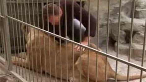 Vivir con leones