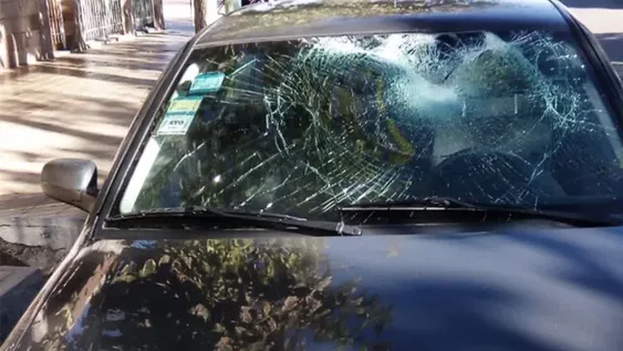 Se les atravesaron cinco caballos y uno impactó contra el parabrisas: salieron ilesos