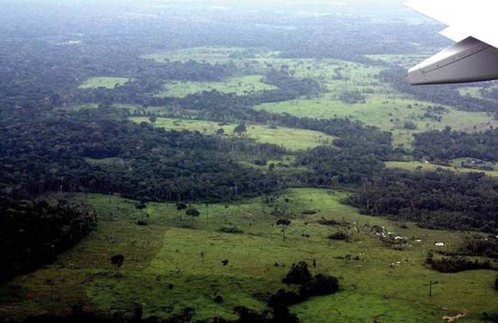 Perú: “oro ecológico”, alternativa sin mercurio