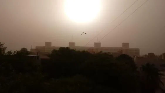 Alerta meteorológica: ráfagas de viento pueden alcanzar los 90 km/h en esta madrugada