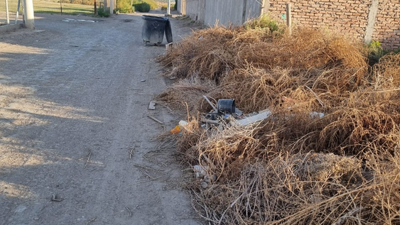 vecinos de el medanito reclaman mantenimiento: calles deterioradas y maleza sin control