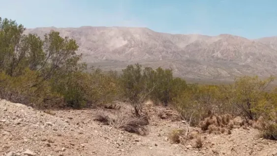 En un minuto, cada una de las 154 réplicas que hubo en las 72 horas posteriores al terremoto