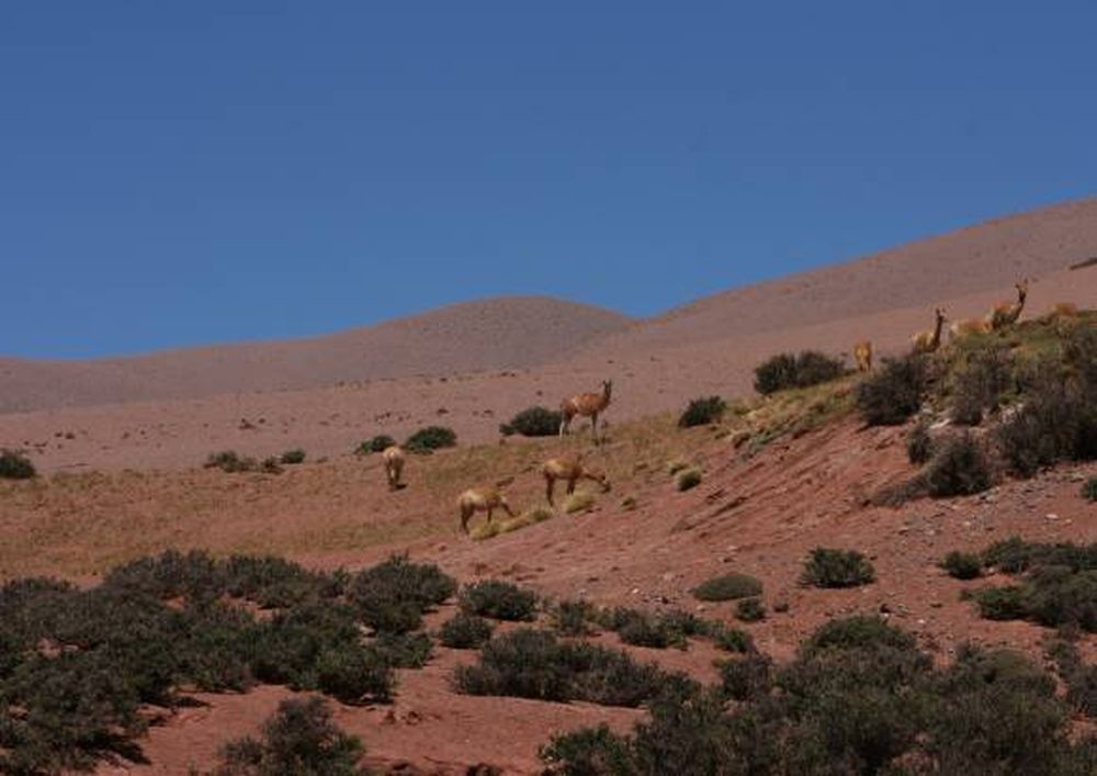 Nación apoyó a Gioja por   las críticas de Greenpeace