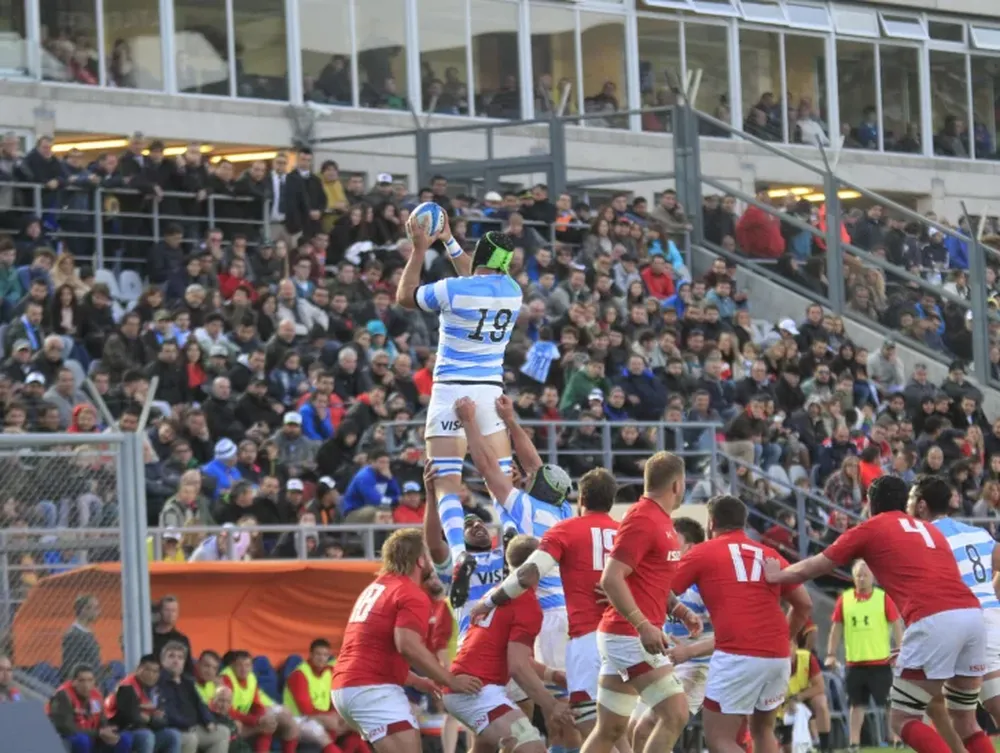 Los Pumas, en casa una semana