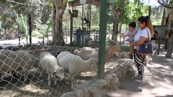 Montarán un microhospital veterinario para atender a los animales del Faunístico