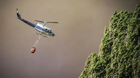 Incendios en Neuquén: continúan las evacuaciones y llegan más bomberos