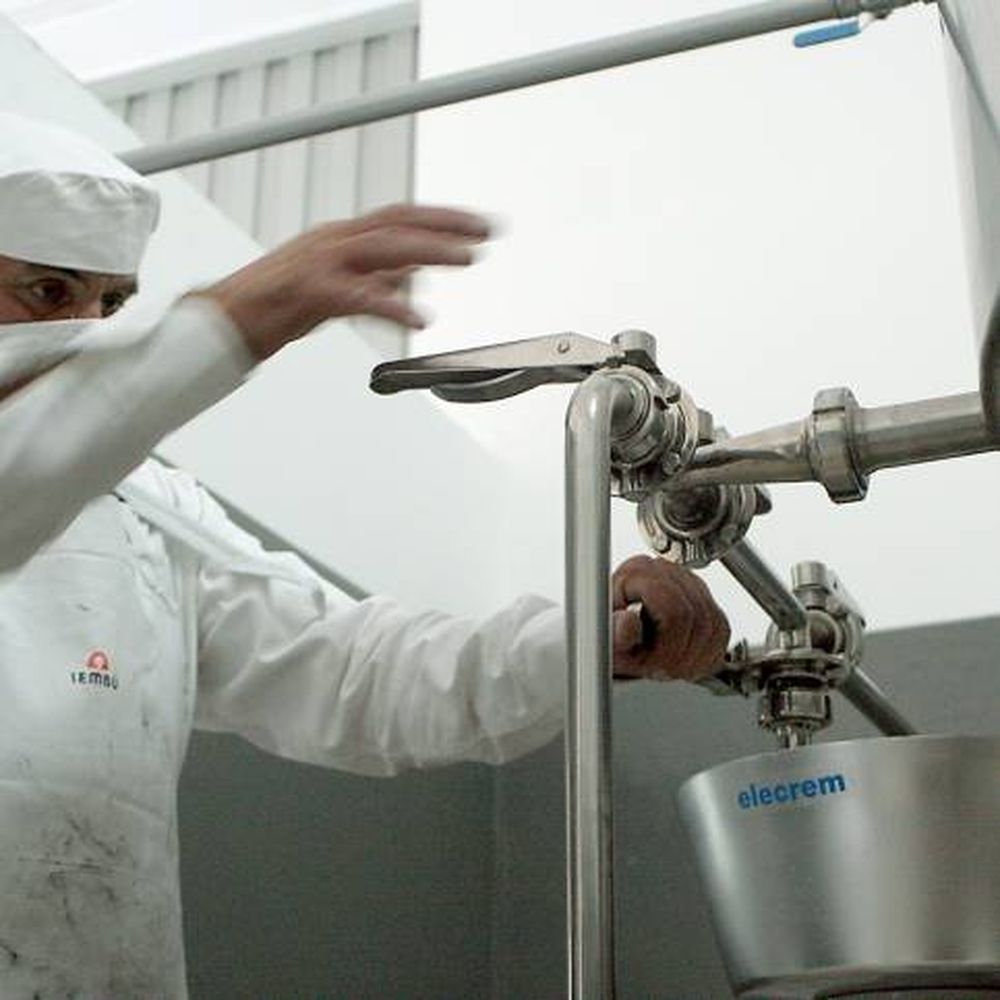 Se duplicará la producción lechera para fabricar yogur