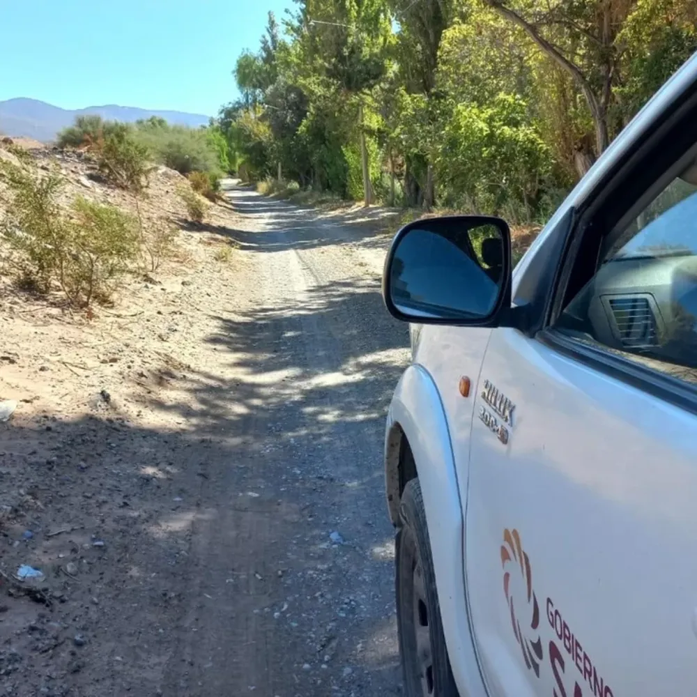Determinaron la zona donde estaría el puma suelto: bajó del cerro e ingresó a la finca “La Riniga”