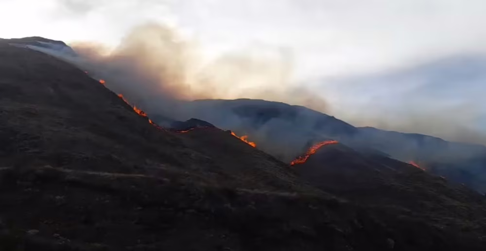 En el terreno trabajan más de 60 personas de manera coordinada para lograr combatir el fuego.