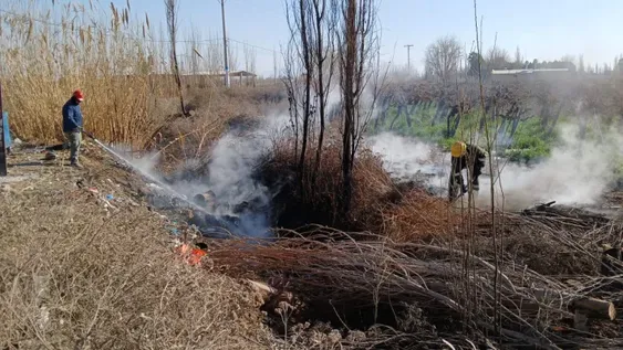 EN ACCIÓN. Bomberos de Médano de Oro trabajan sin descanso para sofocar los incendios.