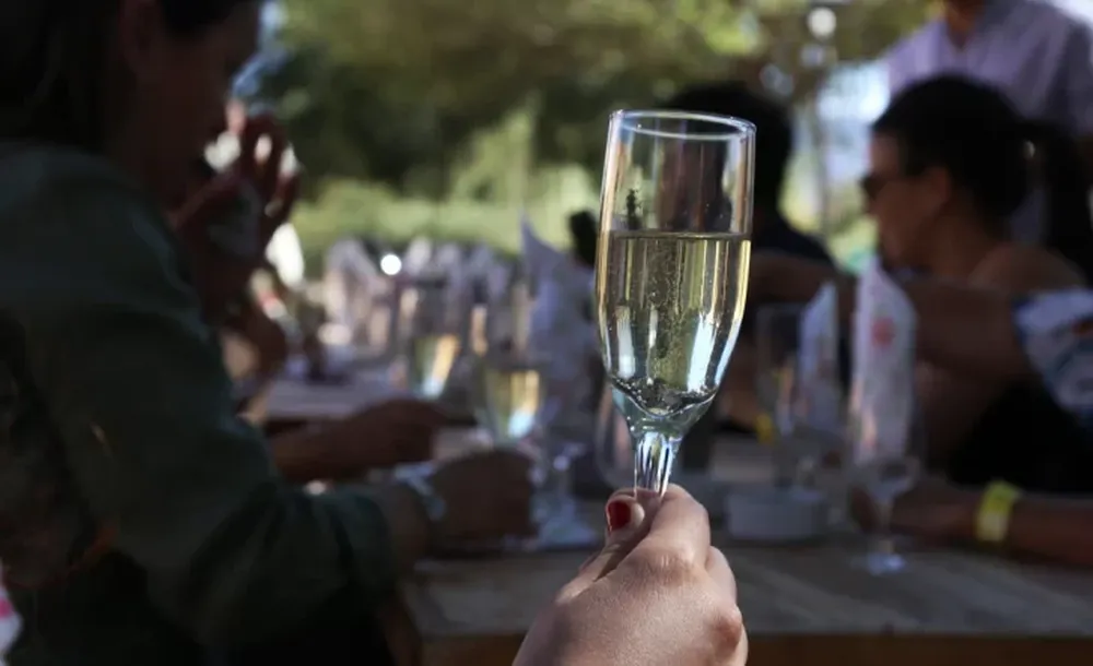 DIVERSO. El enoturismo y crear un Museo del vino están entre las propuestas que llevan al plan.