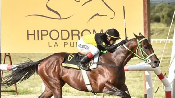 Tamagochi hizo famoso a San Juan