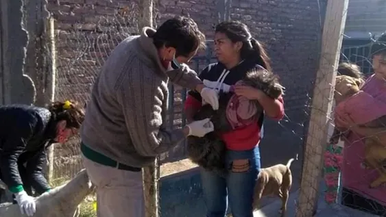 En Rawson saldrán a vacunar perros y gatos gratis y a domicilio contra la rabia