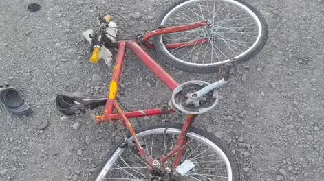 Iba a trabajar a un horno de ladrillos, una camioneta lo chocó y se dio a la fuga