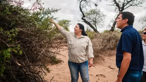 Diario de Cuyo | CONTROL. Gente de la Dirección de Bosques Nativos visita periódicamente los proyectos de preservación vigentes para controlar que cumplan con lo estipulado.