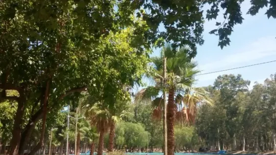 Rivadavia reabre el Camping Municipal y el Pinar: precios y requisitos para ir